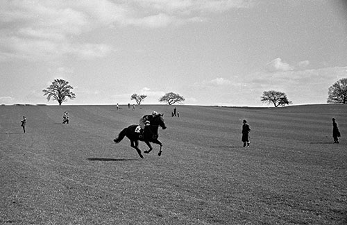 Point to point race Worcs  (1967)