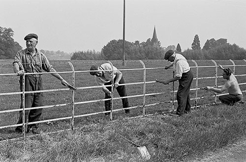 Painting an estate fence, Wichenford Worcs  (1969)